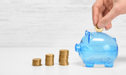Understanding the different provider approaches to scheme establishment