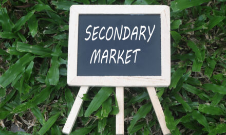 Understanding the way providers operate in the secondary auto-enrolment market